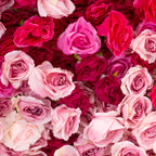 Pink Flower Wall