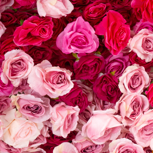 Pink Flower Wall